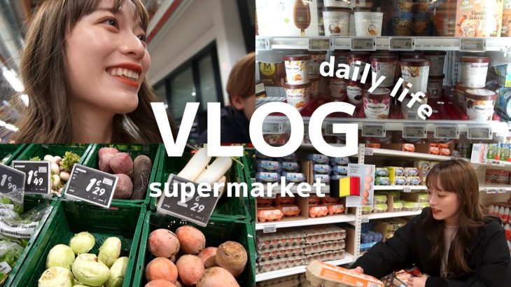 【日常Vlog】スーパー行った日のゆるゆるVlog🇧🇪