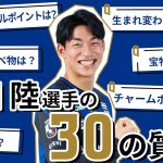 【30の質問】半田 陸選手に30の質問を聞いてみました【青黒の若きジャヴェロット】