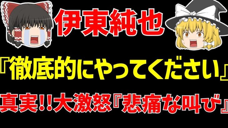 【伊東純也】〇加害疑惑最新情報!!本人が『新たに』語った悔しさ…。【ゆっくりサッカー日本代表解説】