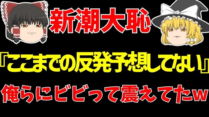 【伊東純也】〇加害疑惑最新情報!!弁護士の作戦に被害女性と週刊新潮ビビって怯えてたwww【ゆっくりサッカー日本代表解説】