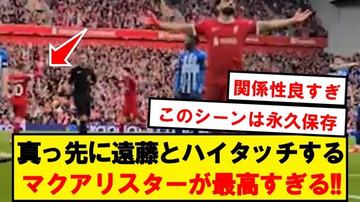 【激熱】ゴールシーンを二人で祝う遠藤とマクアリスターが最高すぎる！！！！