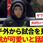 【話題】ベンチ外から試合を見守る遠藤航が可愛いと話題にwww