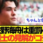 【速報】緊急逮捕の佐野海舟に対する弁護士の見解が想像以上に重罰！！！！