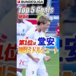 地元紙も絶賛👏堂安律 (フライブルク)強烈ミドルが突き刺さる⚡️【第4節 Top5Goals】　24/25 ドイツ ブンデスリーガ #shorts