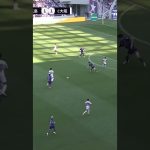 【流石の寄せ】大迫敬介 ファインセーブでピンチを凌ぐ【セーブ動画】サンフレッチェ広島vsセレッソ大阪
