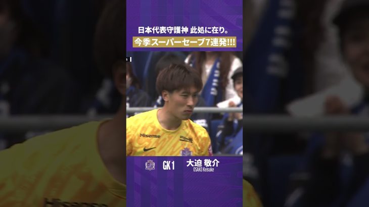 【日本代表守護神🇯🇵】大迫敬介 今季スーパーセーブ7連発🧤💥【セーブ集】サンフレッチェ広島
