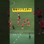 菊地マジで上手い👏👏👏 #名古屋グランパス #ピサノ #シュミットダニエル #ユンカー #山岸祐也 #和泉竜司 #マテウス #稲垣祥 #サッカー日本代表 #jリーグ