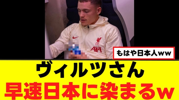 【朗報】ヴィルツさん、日本に染まってしまうｗｗｗ