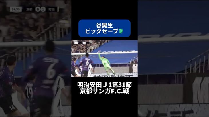 谷晃生のビッグセーブ🧤｜#京都サンガFC 戦 #shorts #Jリーグ #サッカー