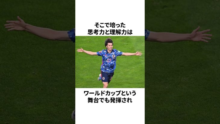 「偏愛が過ぎる頭脳派ボランチ」田中碧についての雑学#サッカー #サッカー日本代表 #田中碧
