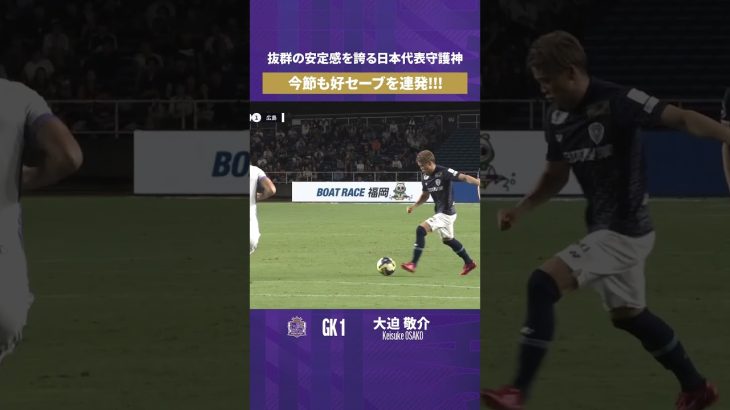 【見慣れた光景】日本代表 大迫敬介 今節も好セーブを連発!!!【セーブ動画】サンフレッチェ広島vsアビスパ福岡