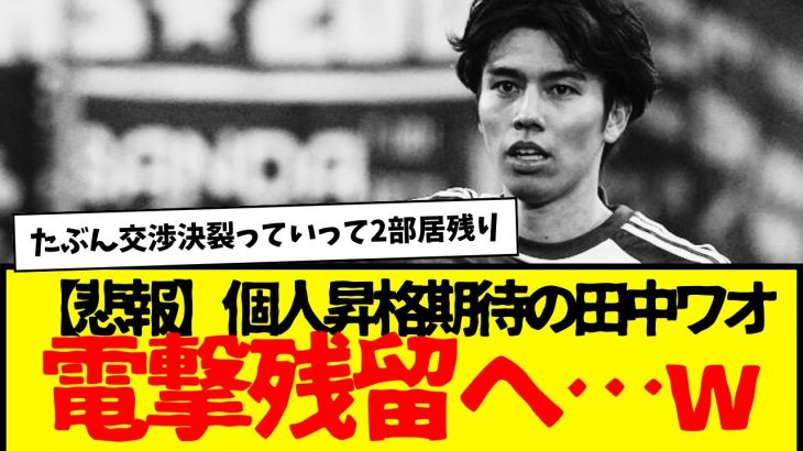 田中ワオンガムさん、来季も2部居残りしそうとの声…www　どうなるんやろな。プレースタイルが珍しすぎるからな…。