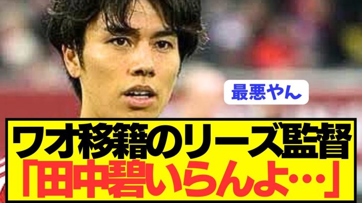 【悲報】プレミア昇格狙うリーズ移籍の田中碧がとんでもない緊急事態！！！！！！！！