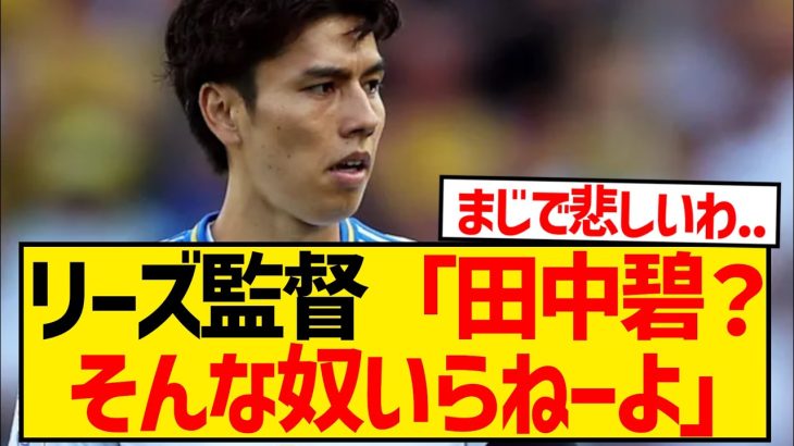 【超悲報】リーズ移籍の田中碧さん、ファルケ監督から全く必要とされていないことが発覚…