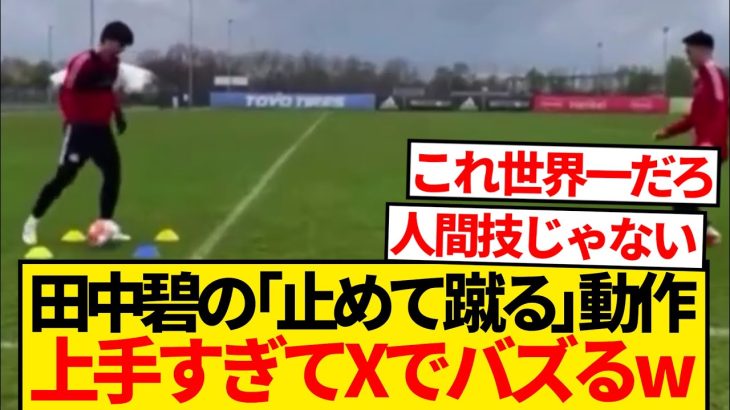 【レベチ】サッカー経験者ほど共感する動画見つかるwwwww