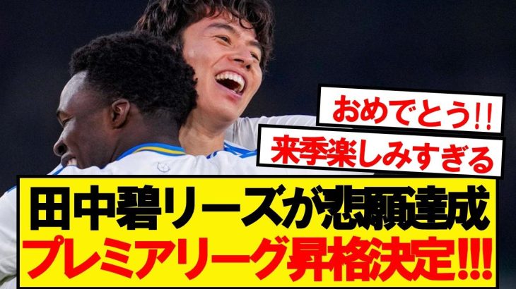 【祝報】田中所属のリーズユナイテッド、悲願のプレミアリーグ昇格決定！！！！！