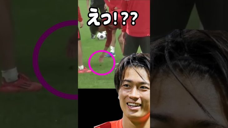 蝶を助けるも脳筋がバレる中村敬斗 #サッカー日本代表 【発掘動画】
