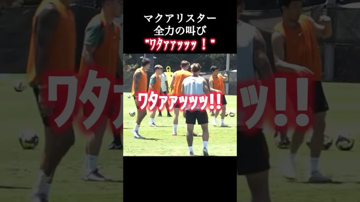 マクアリスターの全力の叫び「ﾜﾀｧｯｯｯ！」 #遠藤航 #リヴァプール #shorts